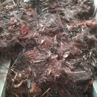 خریدار ضایعات|خدمات پیشه و مهارت|قم, چهل درخت|دیوار