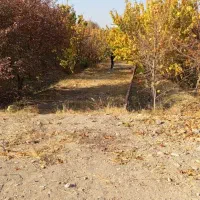 700متر-زمین-خوش-قیمت-اشراقیه-شورقلعه-پایین