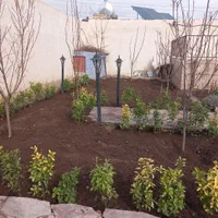 باغبانی و سمپاشی درختان در تمام نقاط شهر|خدمات باغبانی و درختکاری|مشهد, توس (بلوار توس)|دیوار