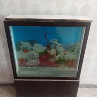 آکواریوم بزرگ|ماهی|قوچان, |دیوار