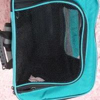 لوازم پت|لوازم جانبی حیوانات|دلیجان, |دیوار