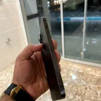 13پرومکس درحد