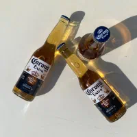 ویزیتور و منشی