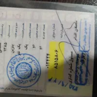 موتور125تقویت به200|موتورسیکلت|زرند, |دیوار