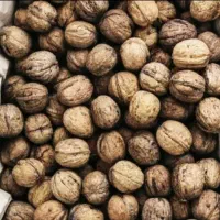 گردوتازه ومرغوب. کیلویی 400