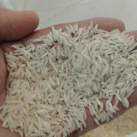 برنج هاشمی صدری درجه یک سوپر