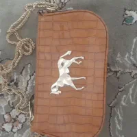 کیف ومانتو در حد نو