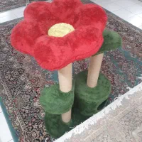 درخت بازی پت خانگی
