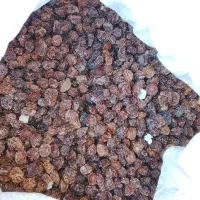 الوچه خشک محلی|خوردنی و آشامیدنی|اندیکا, |دیوار