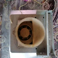 هود|هود|مشهد, خواجه ربیع|دیوار