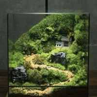 پالوداریوم موساریوم تراریوم