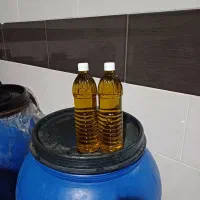 روغن زیتون طارم بشرط|خوردنی و آشامیدنی|گیلوان, |دیوار