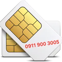 09119003005