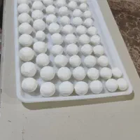 کشک