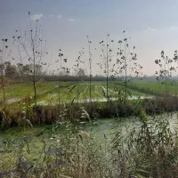 فروش زمین‌کشاورزی