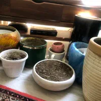 گلدان ها به همراه خاکش