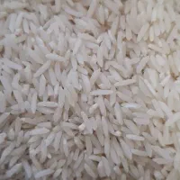 برنج هاشمی تازه