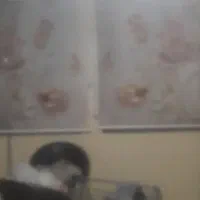 اجاره آپارتمان  همخونه میخام فوری موجه باشه ممنون