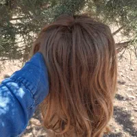 پوستیژ مو با کیفیت اصلی . نو