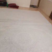 دوعدد فرش ابریشم