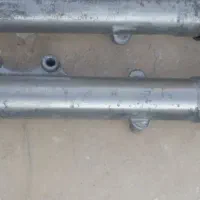فنچ مرغ عشق عروس هلندی|پرنده|میناب, |دیوار