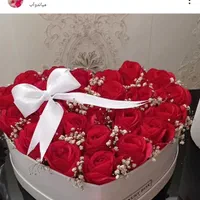 گل رز روبانی