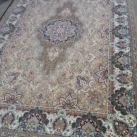 فرش ۶ متری در حد نو|فرش|کنگاور, |دیوار