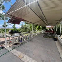 باغ انار قلعهچم|فروش زمین و ملک کلنگی|سلفچگان, |دیوار