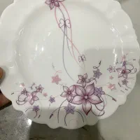 سرویس نو ارکوپال