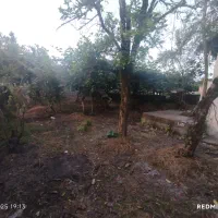 فروش زمین تجاری مسکونی در گیسوم|فروش زمین و ملک کلنگی|اسالم, |دیوار