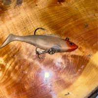 طعمه مصنوعی ژلهای|ماهیگیری|اردبیل, |دیوار