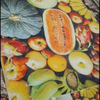 ف ر ش با پادری