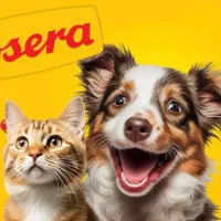 غذا خشک گربه و سگ زیره قیمت