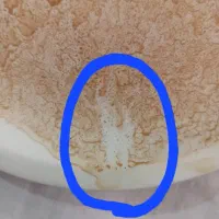 فال|خدمات پذیرایی، مراسم|شیراز, سینما سعدی|دیوار