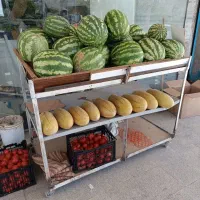 واگذاری کلیه لوازم میوه فروشی کامل|فروشگاه و مغازه|گلبهار, شهر جدید گلبهار|دیوار