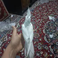 عروس هلندی . مرغ عشق. طوطی. برزیلی|پرنده|شیراز, شهرک فرهنگیان|دیوار