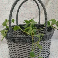 سبد پیک نیک مسافرتی