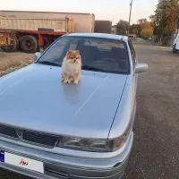گالانت ۹۲ بی رنگ