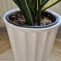 گل های طبیعی سالم با گلدان|گل و گیاه طبیعی|محمدشهر, همایون ویلا|دیوار