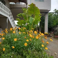 اقامتگاه-اشرفی