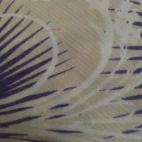 کا‌گندم‌‌آبی