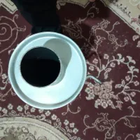 زنجیر گردنبند|بدلیجات|گرگان, |دیوار