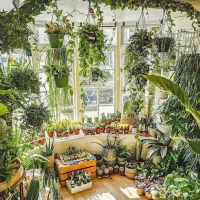 راهنمایی جویای کارم
