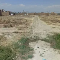 کار ترکیه