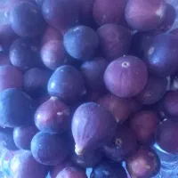 کوزیر|خوردنی و آشامیدنی|دهدشت, |دیوار