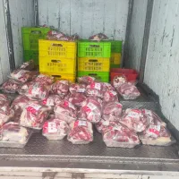 گوشت گرم گوساله گوسفندی|عمده‌فروشی|بهار, |دیوار