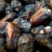 خرمای گنتار محصول امسال باغ|خوردنی و آشامیدنی|شیراز, باغ تخت|دیوار