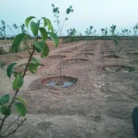 فروش زمین های ۷۰۰۰ متر و ۷۵۰۰ متری