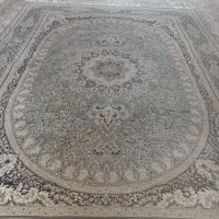 ستاره کویر زمینه طوسی قیمت مناسب
