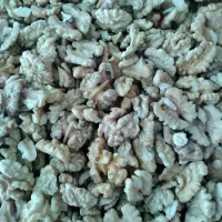 گردو
